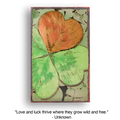 227: Lucky Find (Retired)