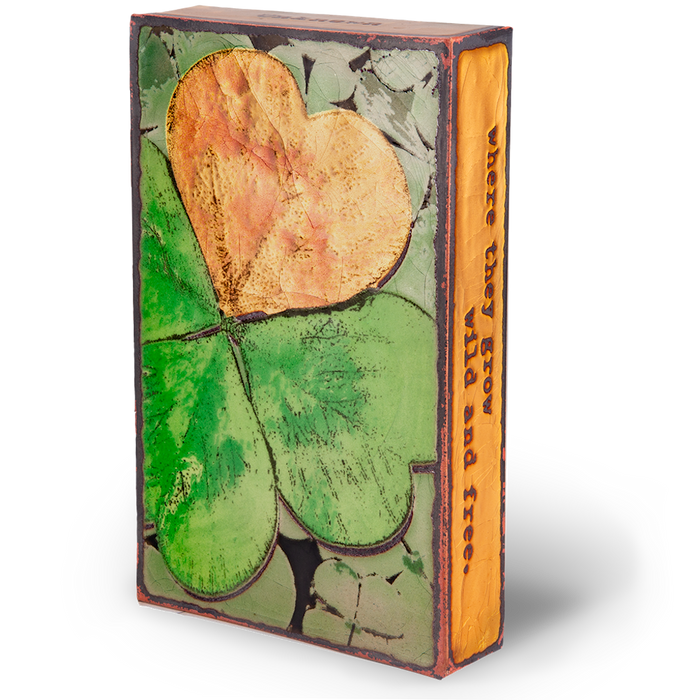 227: Lucky Find (Retired)