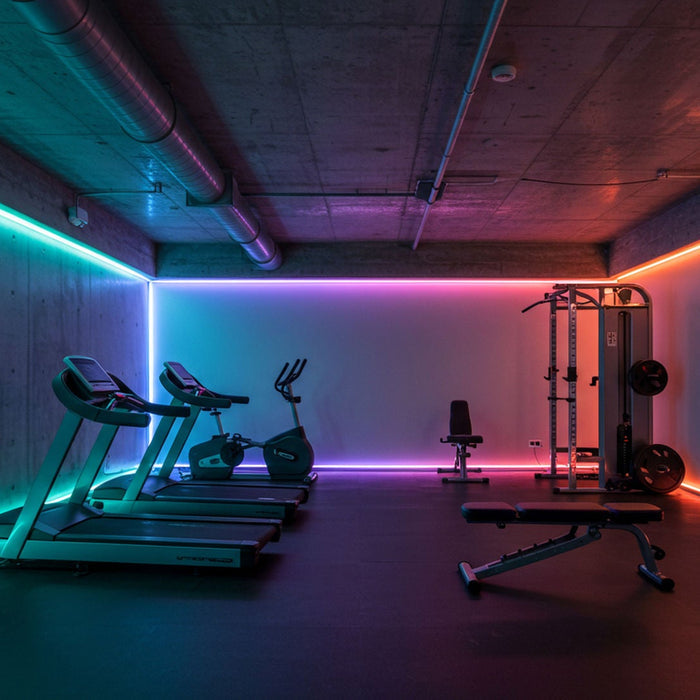 24V RGBW COB LED Tape Light | RGB+White Dot-Free Flexible Strip, 10mm