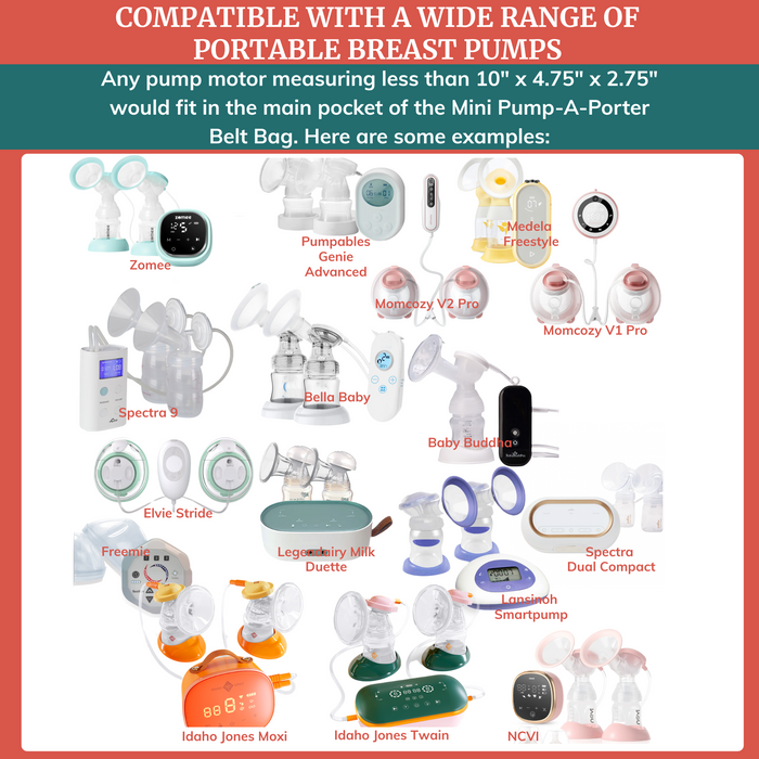 Belt Bag for Small Breast Pumps - Mini Pump-A-Porter