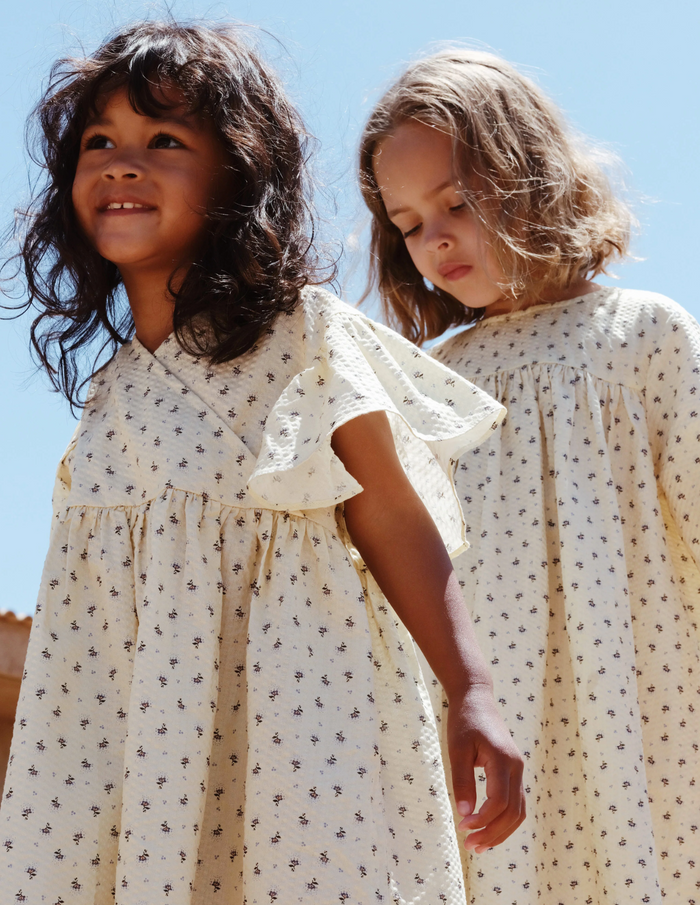 Bitsy dress - point bleu