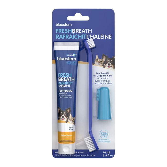 Bluestem Coactiv+ Oral Dental Kit for Cats and Dogs