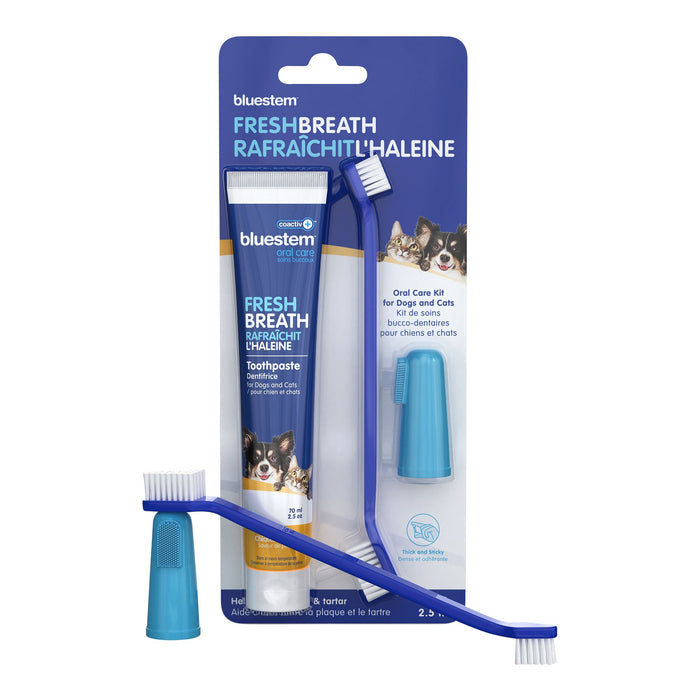 Bluestem Coactiv+ Oral Dental Kit for Cats and Dogs