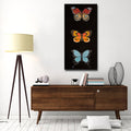 Butterfly Trio No. 2' Wrapped Canvas Wall Art