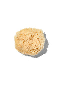 California Baby Natural "Wool" 3-4" Sea Sponge