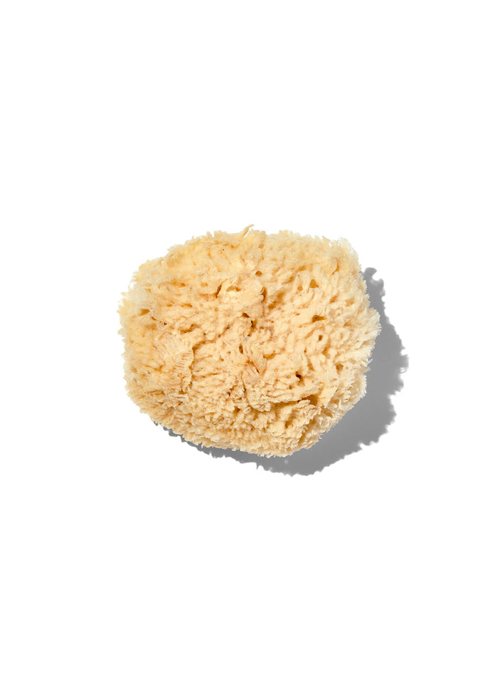 California Baby Natural "Wool" 3-4" Sea Sponge