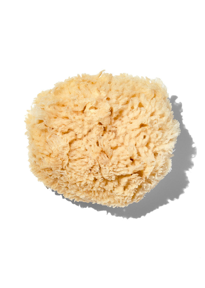 California Baby Natural "Wool" 5-6" Sea Sponge