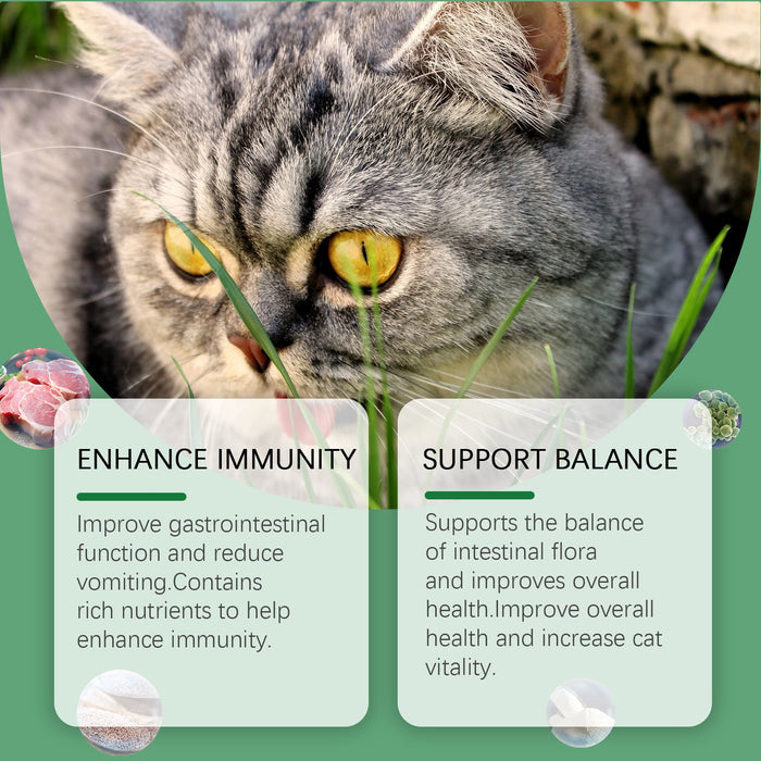 Cat Grass Fiber Tablets for Cats