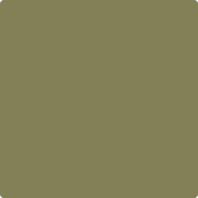 Shop the paint color 496 Chopped Dill by Benjamin Moore at Anderson Paint Company in Ann Arbor, Michigan.