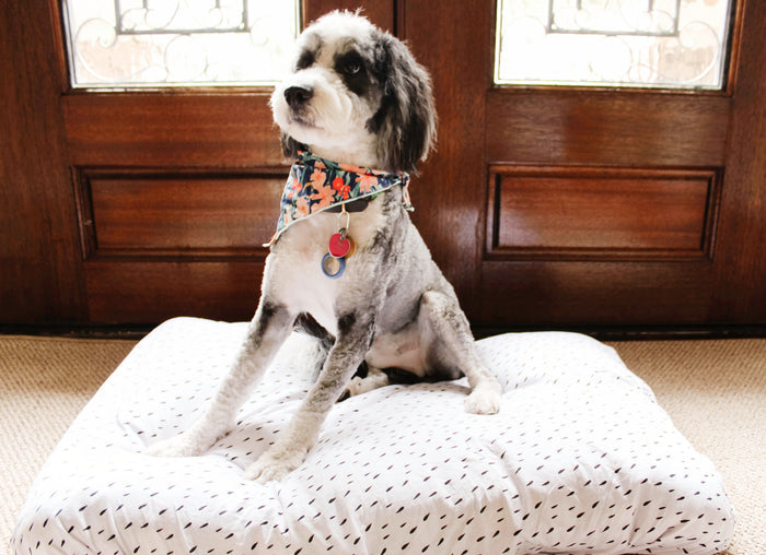 Nodnal Co Dog Bed Cover - Choose Your Print - Premium Baby Bedding & Essentials