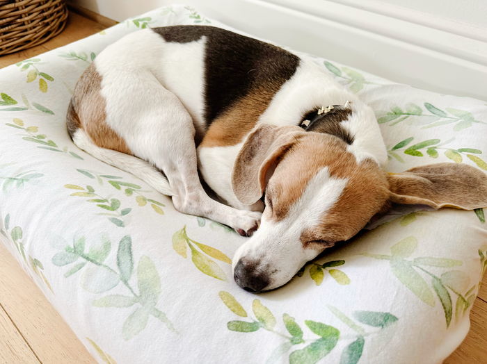Nodnal Co Dog Bed Cover - Choose Your Print - Premium Baby Bedding & Essentials