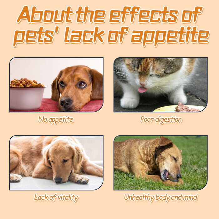 Energizing & Nourishing Pet Health Care Drops
