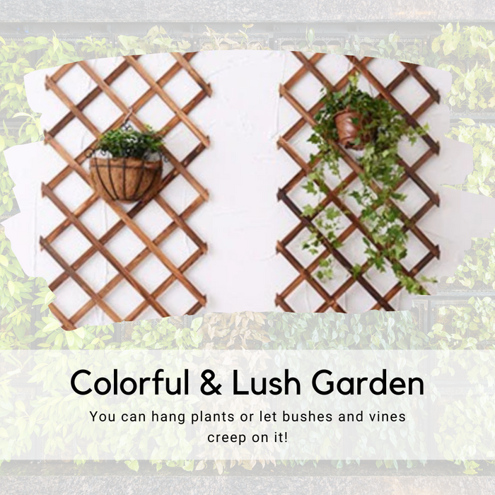 Expanding Garden Trellis