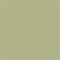 Shop the paint color 502 Grasslands by Benjamin Moore at Anderson Paint Company in Ann Arbor, Michigan.