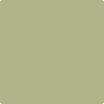 Shop the paint color 502 Grasslands by Benjamin Moore at Anderson Paint Company in Ann Arbor, Michigan.