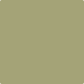 Shop the paint color 495 Hillside Green by Benjamin Moore at Anderson Paint Company in Ann Arbor, Michigan.