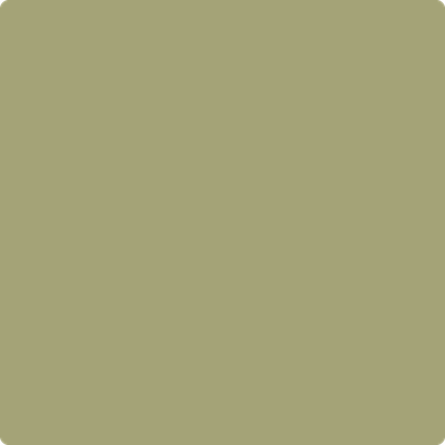 Shop the paint color 495 Hillside Green by Benjamin Moore at Anderson Paint Company in Ann Arbor, Michigan.