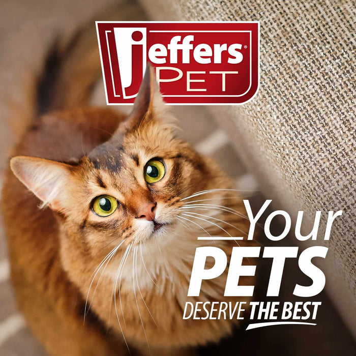 Jeffers BELLY BUDDY Probiotic Supplement Packets for Cats