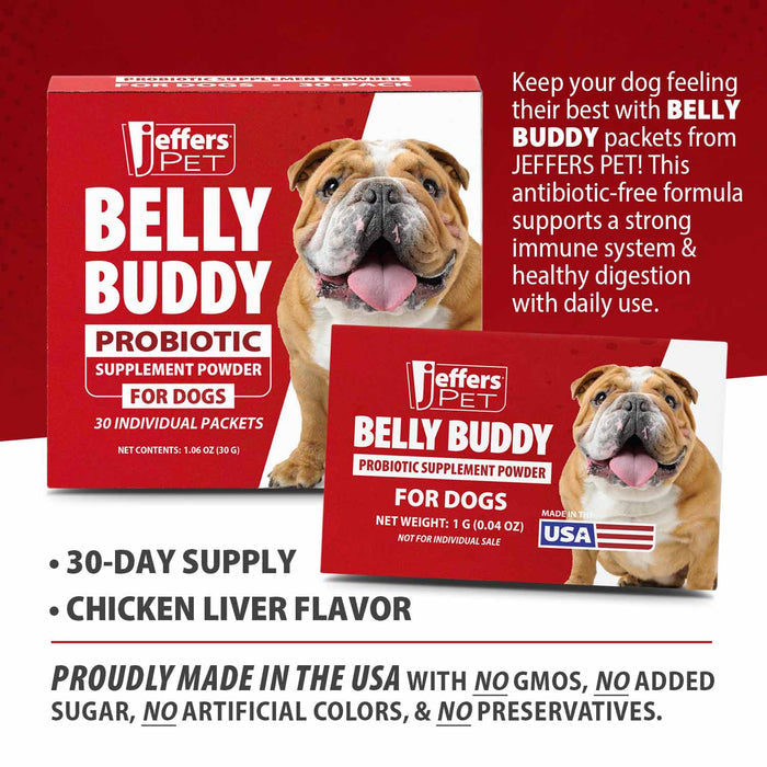 Jeffers BELLY BUDDY Probiotic Supplement Powder for Dogs