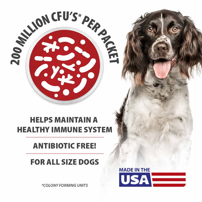 Jeffers BELLY BUDDY Probiotic Supplement Powder for Dogs