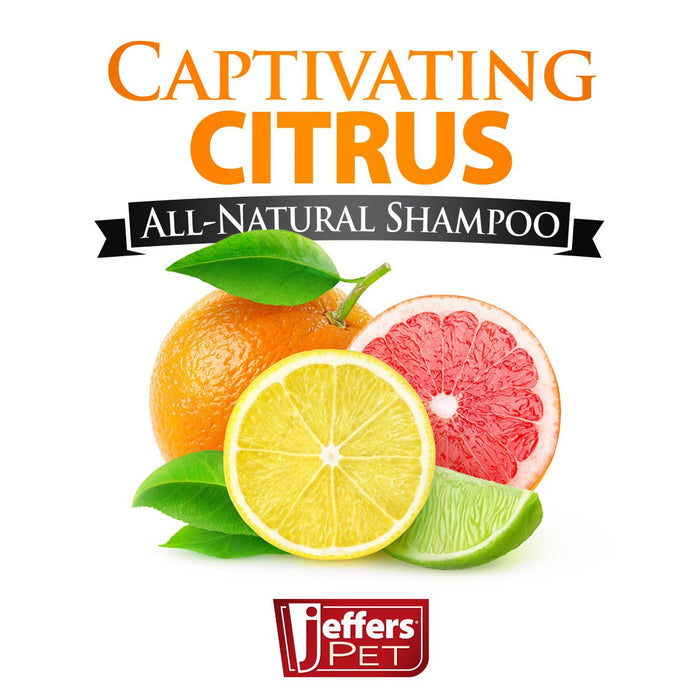 Jeffers Captivating Citrus All Natural Cat & Dog Shampoo