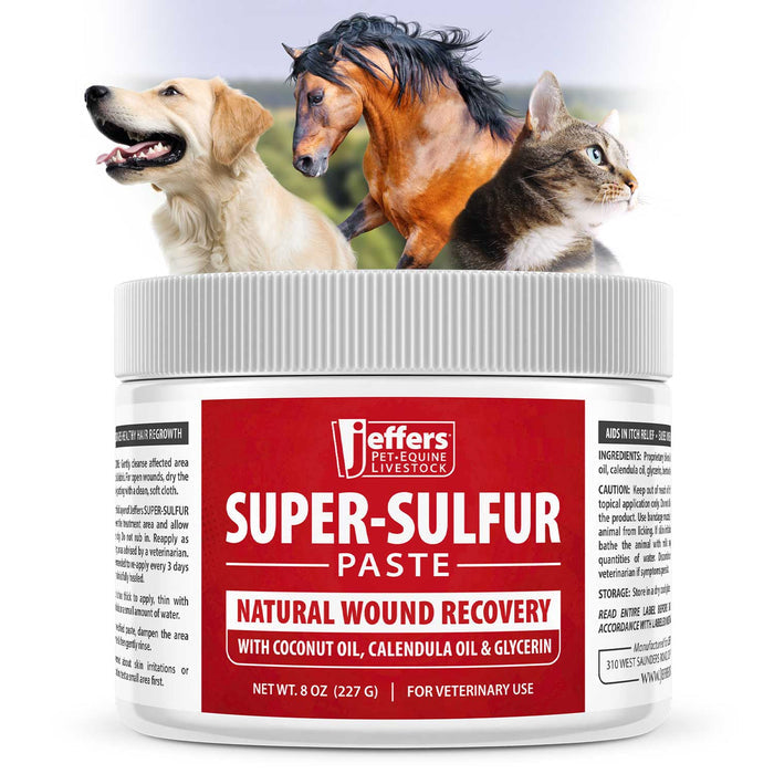 Jeffers Super-Sulfur Skin & Wound Healing Paste