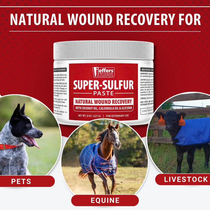 Jeffers Super-Sulfur Skin & Wound Healing Paste