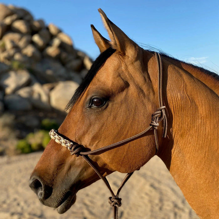 Kensington Clinician Rope Halter