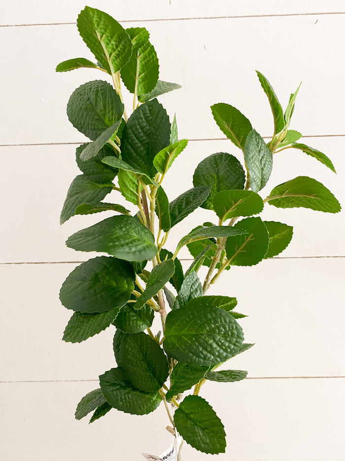 Mint Leaf Stem