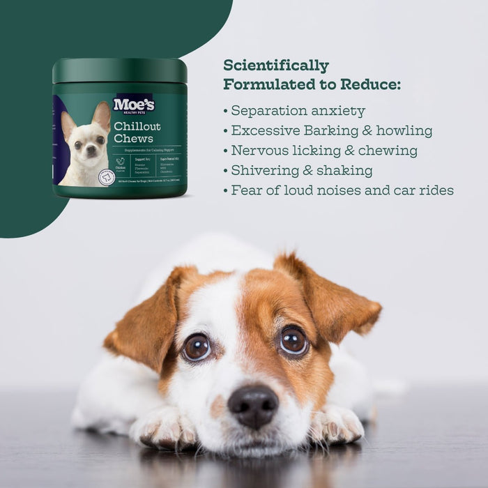 Moe's Chillout Chews - Dog Calming Supplements with Hemp & Chamomile