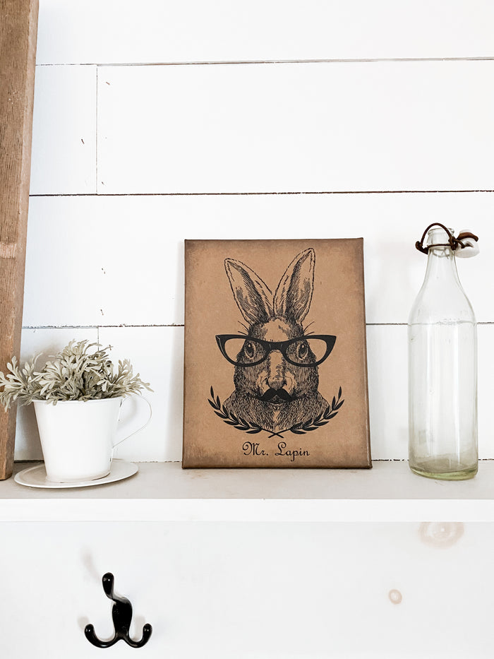 Mr. Lapin