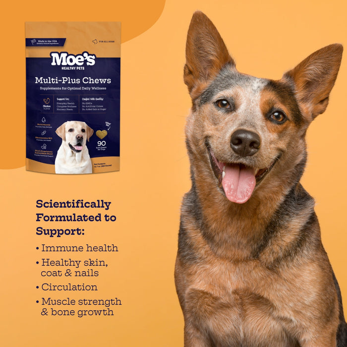 Multi-Plus Chews