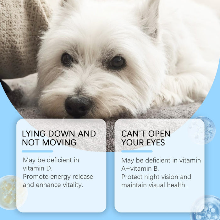 Multivitamin Nutritional Health Supplement Tablets for Dogs