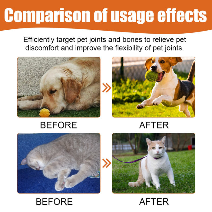 Pet Bee Venom Oil for Joint Pain Relief in Cats & Dogs