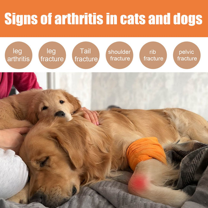 Pet Bee Venom Oil for Joint Pain Relief in Cats & Dogs