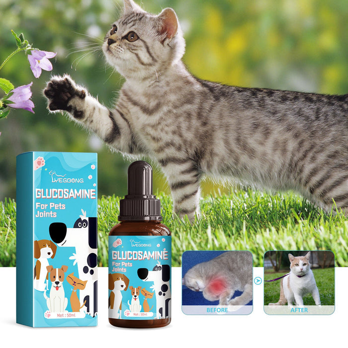 Pet Glucosamine Drops for Bone & Joint Pain Relief