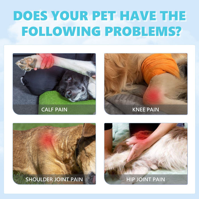 Pet Glucosamine Drops for Bone & Joint Pain Relief