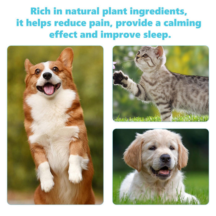 Pet Glucosamine Drops for Bone & Joint Pain Relief