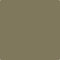 Shop the paint color 511 Pine Grove by Benjamin Moore at Anderson Paint Company in Ann Arbor, Michigan.