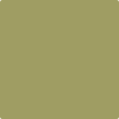 Shop the paint color 531 Ponderosa Pine by Benjamin Moore at Anderson Paint Company in Ann Arbor, Michigan.