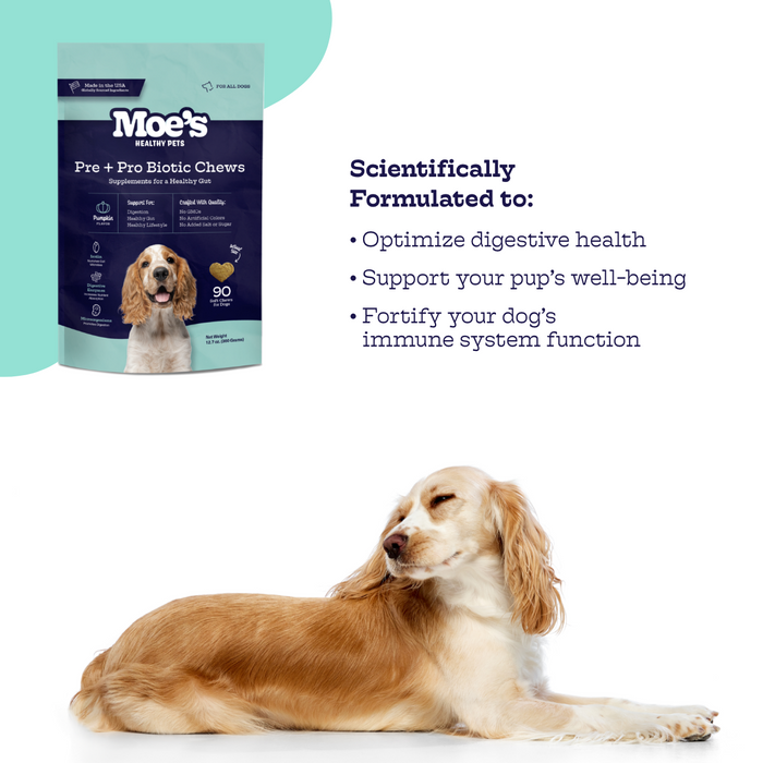 Pre + Pro Biotic Chews
