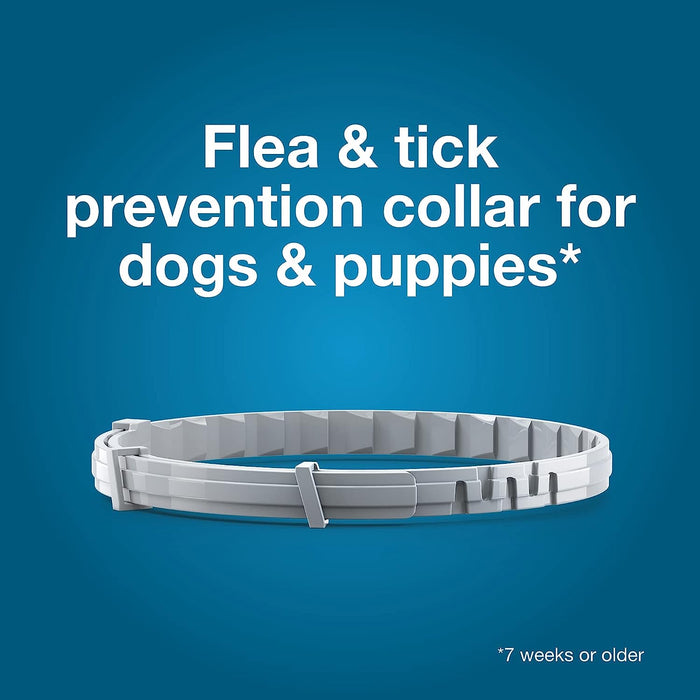 Seresto Flea & Tick Dog Collars
