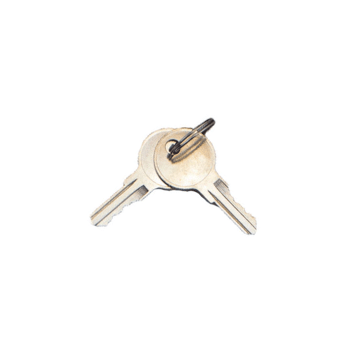Spare Keys (1 Pair) For T-handle Locks - Shed Windows and More, Inc.