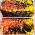Stabilized wood box elder burl block