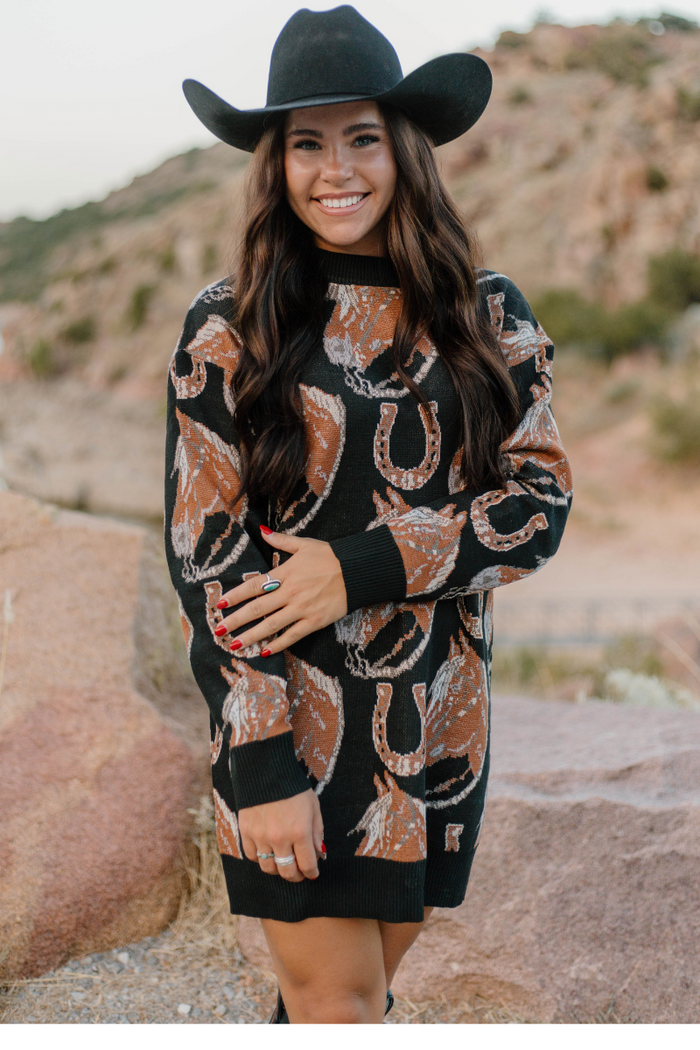 Sterling Kreek Ruidoso Sweater Dress