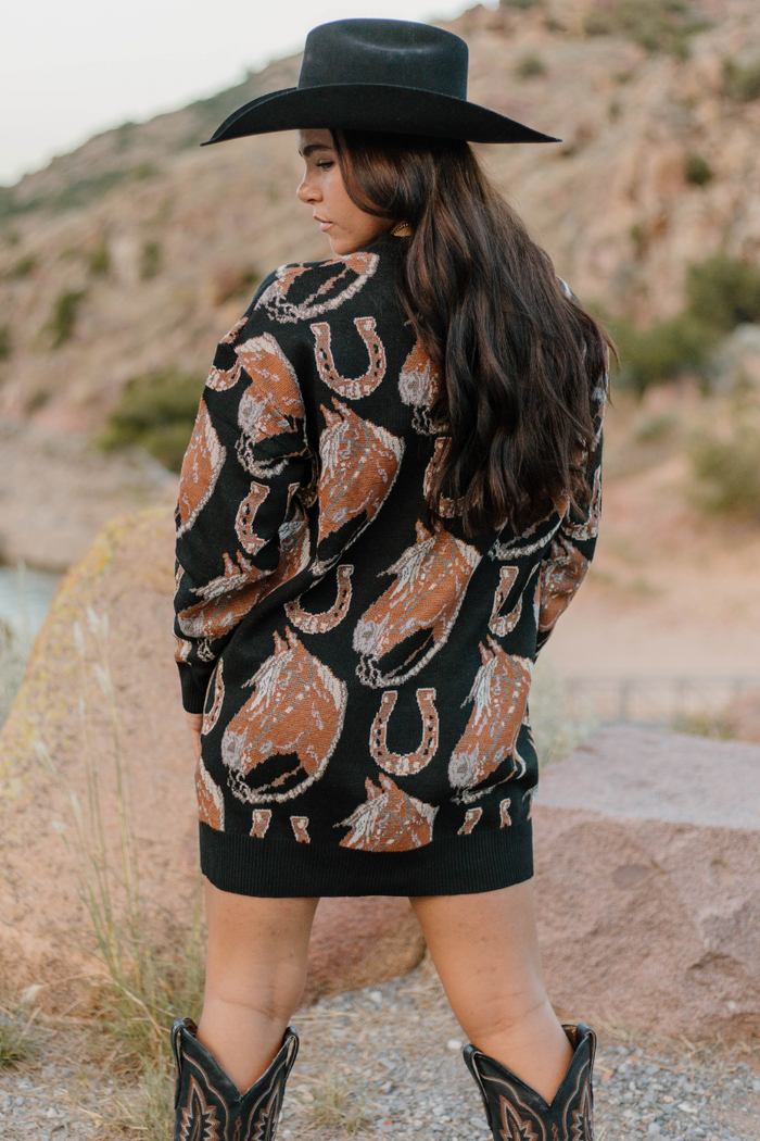 Sterling Kreek Ruidoso Sweater Dress