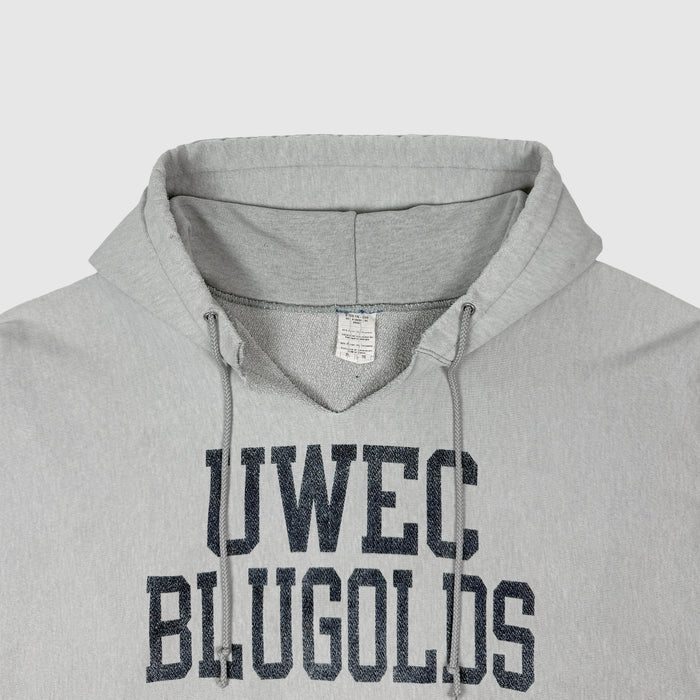 Vintage Champions Reverse Weave Hoodie In Heather Grey