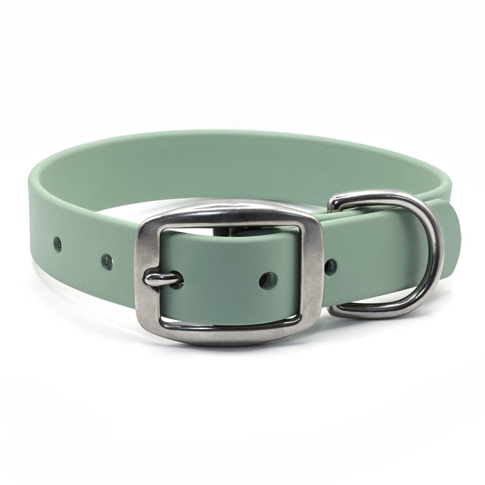 Sage green biothane dog collar with stainless steel hardware on a white background