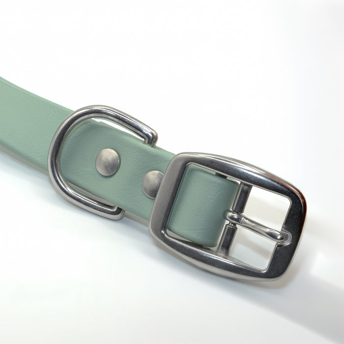 Sage green biothane dog collar with stainless steel hardware close-up