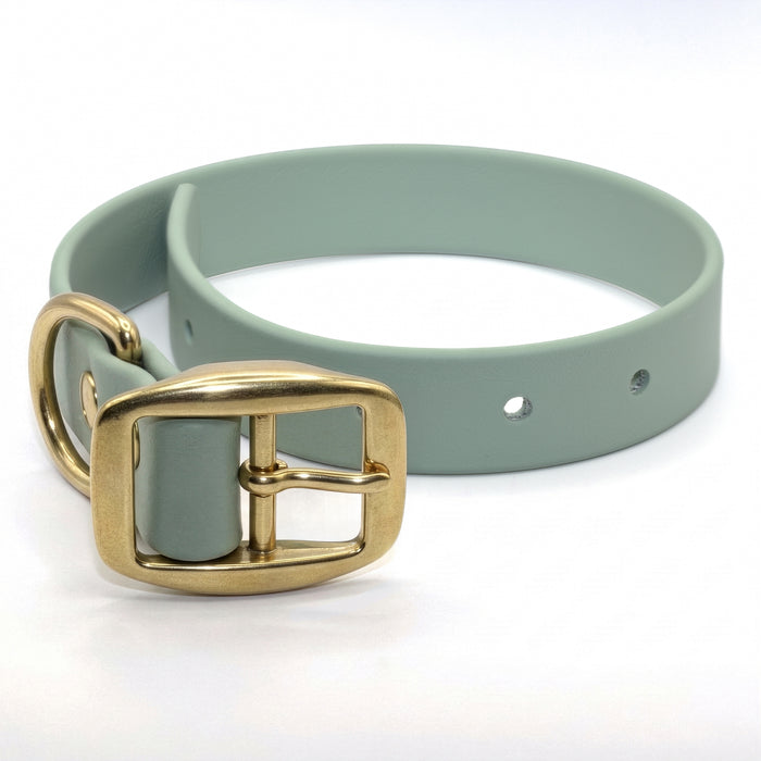 Sage green biothane dog collar with solid brass hardware close-up